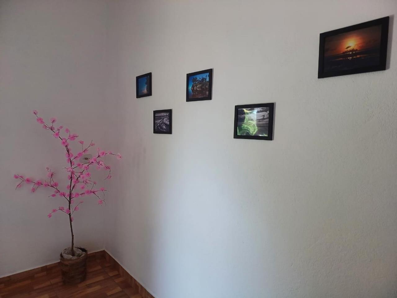 クムルサティバ Casa Jubarteヴィラ エクステリア 写真